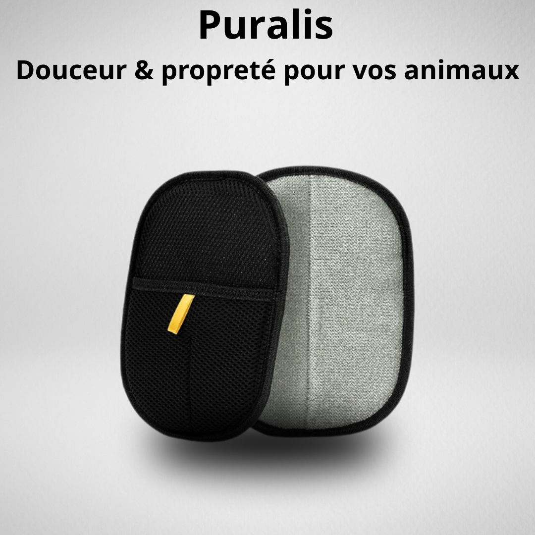 Puralis
