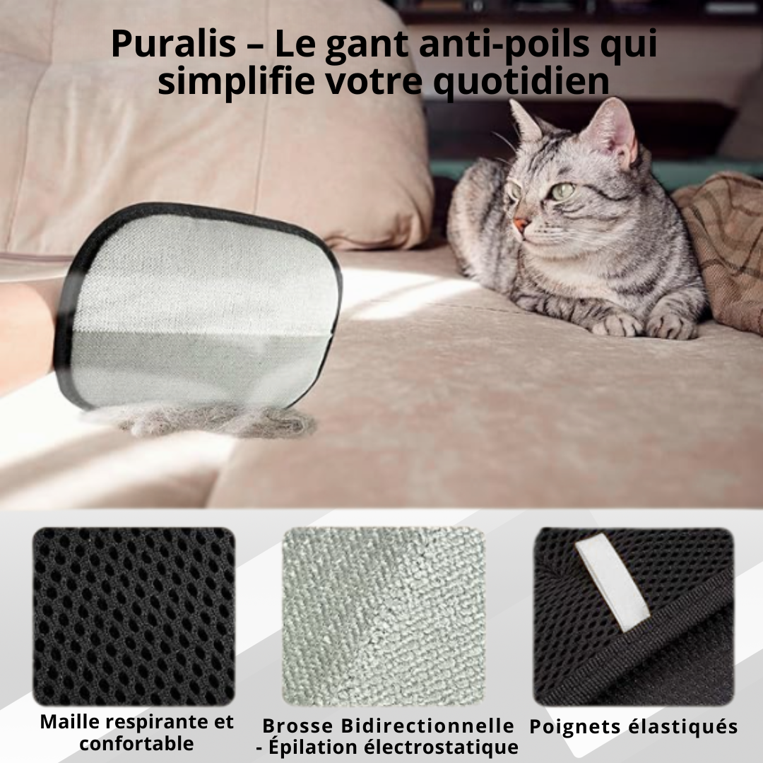 Puralis