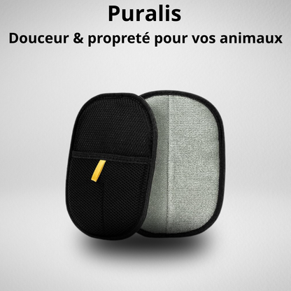 Puralis